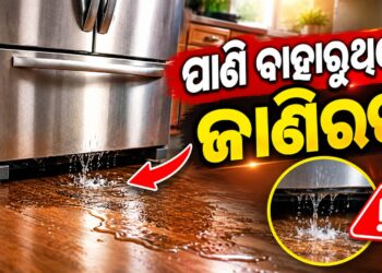 ଫ୍ରୀଜ଼ରୁ ବାହାରୁଛି କି ପାଣି? ଜାଣିରଖ କଣ କରିବେ?
