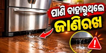ଫ୍ରୀଜ଼ରୁ ବାହାରୁଛି କି ପାଣି? ଜାଣିରଖ କଣ କରିବେ?