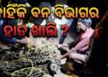 ଗୁହାଳରେ ପଶିଥିବା ବାରହାକୁ ଶିକାର, ବନ ବିଭାଗର ଉଦାସୀନତାକୁ ନେଇ ପ୍ରଶ୍ନ