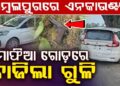 ସମ୍ବଲପୁରରେ କଫ୍ ସିରପ୍ ଚୋରାଚାଲାଣ ବେଳେ ପୋଲିସର ଏନକାଉଣ୍ଟର