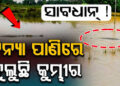 ଗେଙ୍ଗୁଟି ନଦୀର ବାଲିକୁଦା ସେତୁ ନିକଟରେ କୁମ୍ଭୀର ଆତଙ୍କ