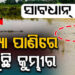 ଗେଙ୍ଗୁଟି ନଦୀର ବାଲିକୁଦା ସେତୁ ନିକଟରେ କୁମ୍ଭୀର ଆତଙ୍କ