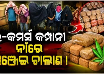 ଇ -କମର୍ସ ପ୍ଲାଟଫର୍ମକୁ ଢାଲ କରି ଗଞ୍ଜେଇ ଚାଲାଣ