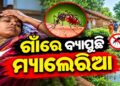 ମାଲକାନଗିରି ବଣ୍ଡା ଘାଟିରେ ମ୍ୟାଲେରିଆ ଆତଙ୍କ