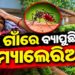 ମାଲକାନଗିରି ବଣ୍ଡା ଘାଟିରେ ମ୍ୟାଲେରିଆ ଆତଙ୍କ