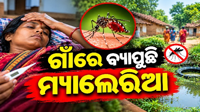 ମାଲକାନଗିରି ବଣ୍ଡା ଘାଟିରେ ମ୍ୟାଲେରିଆ ଆତଙ୍କ