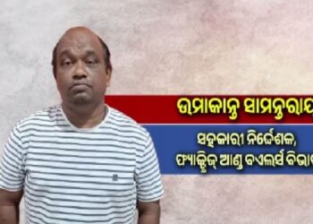 ଭିଜିଲାନ୍ସ ଜାଲରେ ସହକାରୀ ନିର୍ଦ୍ଦେଶକ