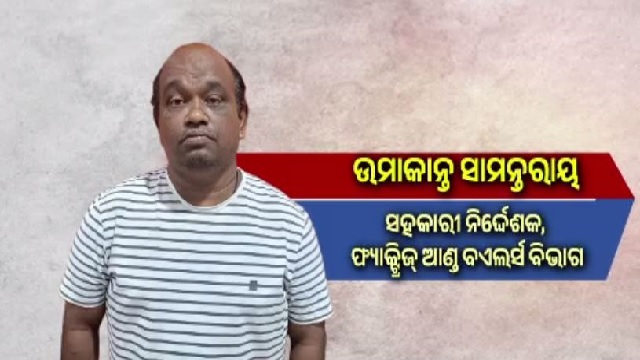 ଭିଜିଲାନ୍ସ ଜାଲରେ ସହକାରୀ ନିର୍ଦ୍ଦେଶକ