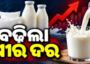 ଆଜିଠୁ ବଢିଲା ଓମଫେଡ୍ କ୍ଷୀର ଦର