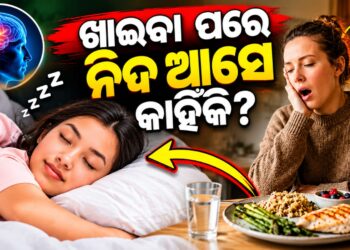 ଖାଇବାପରେ ସାଙ୍ଗେ ସାଙ୍ଗେ କାହିଁକି ଆସେ ନିଦ? ଜାଣନ୍ତୁ ଏହା ପଛର କାରଣ