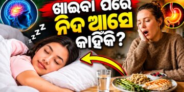 ଖାଇବାପରେ ସାଙ୍ଗେ ସାଙ୍ଗେ କାହିଁକି ଆସେ ନିଦ? ଜାଣନ୍ତୁ ଏହା ପଛର କାରଣ