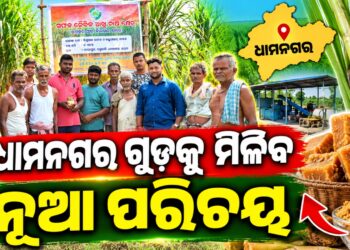 ଭୋକାଲ ଫର ଲୋକାଲକୁ ନେଇ ନୂଆ ପରିକଳ୍ପନା, ଧାମନଗର ଗୁଡ଼କୁ ମିଳିବ ନୂଆ ପରିଚୟ