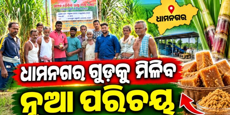 ଭୋକାଲ ଫର ଲୋକାଲକୁ ନେଇ ନୂଆ ପରିକଳ୍ପନା, ଧାମନଗର ଗୁଡ଼କୁ ମିଳିବ ନୂଆ ପରିଚୟ