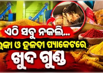 ବ୍ରହ୍ମପୁରରେ ନକଲି ମସଲା କାରଖାନା ଠାବ