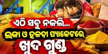 ବ୍ରହ୍ମପୁରରେ ନକଲି ମସଲା କାରଖାନା ଠାବ