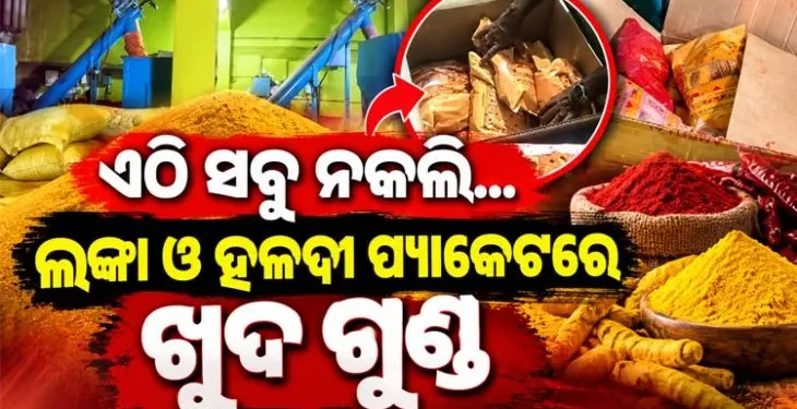 ବ୍ରହ୍ମପୁରରେ ନକଲି ମସଲା କାରଖାନା ଠାବ