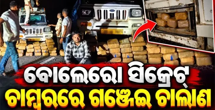 ମାଛକୁଣ୍ଡ ପୋଲିସକୁ ମିଳିଛି ବଡ଼ ସଫଳତା