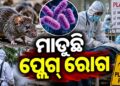 ରୁଷିଆର ସାଇବେରିଆ ଅଞ୍ଚଳରେ ନ୍ୟୁମୋନିକ୍ ପ୍ଲେଗ ଆତଙ୍କ