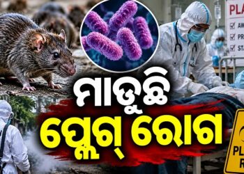 ରୁଷିଆର ସାଇବେରିଆ ଅଞ୍ଚଳରେ ନ୍ୟୁମୋନିକ୍ ପ୍ଲେଗ ଆତଙ୍କ
