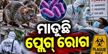 ରୁଷିଆର ସାଇବେରିଆ ଅଞ୍ଚଳରେ ନ୍ୟୁମୋନିକ୍ ପ୍ଲେଗ ଆତଙ୍କ