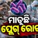 ରୁଷିଆର ସାଇବେରିଆ ଅଞ୍ଚଳରେ ନ୍ୟୁମୋନିକ୍ ପ୍ଲେଗ ଆତଙ୍କ