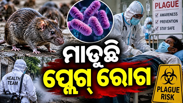 ରୁଷିଆର ସାଇବେରିଆ ଅଞ୍ଚଳରେ ନ୍ୟୁମୋନିକ୍ ପ୍ଲେଗ ଆତଙ୍କ