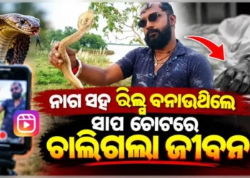 ରିଲ୍ ନିଶା ନେଲା ଜୀବନ