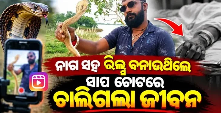 ରିଲ୍ ନିଶା ନେଲା ଜୀବନ